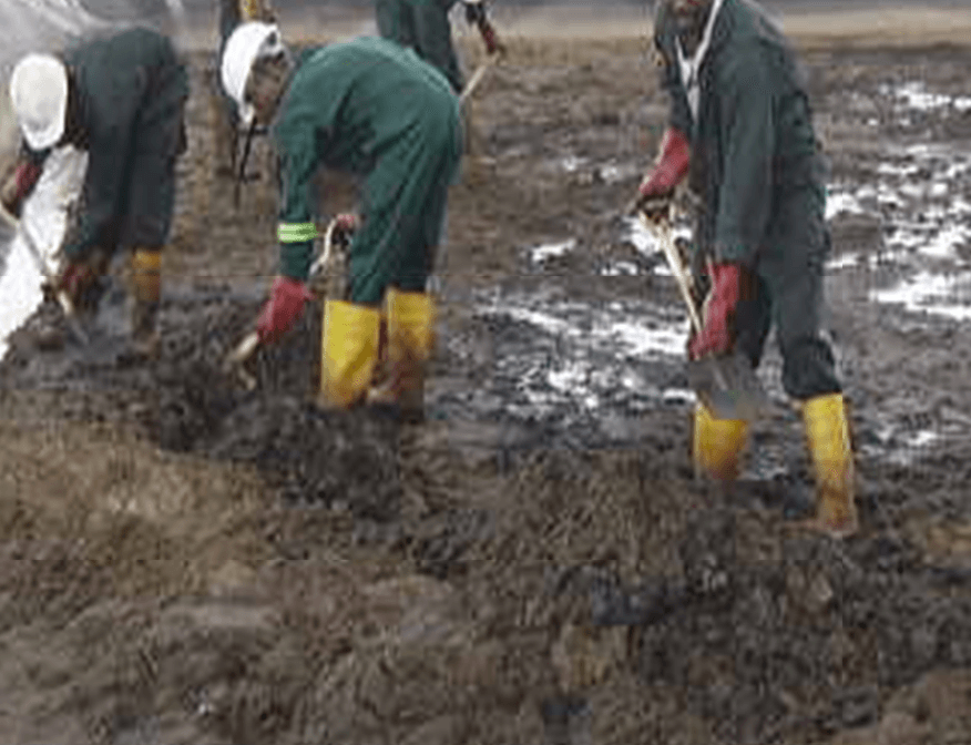 Waste Management & Solid Control Services